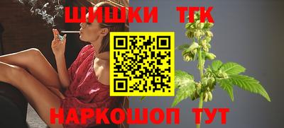 мдпв Новозыбков