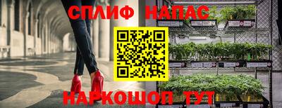 мдпв Новозыбков