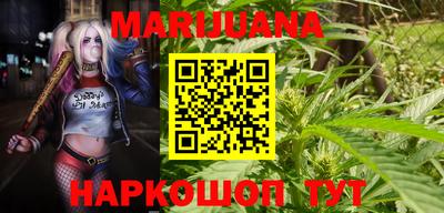 мдпв Новозыбков